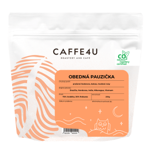 Obedná pauzička